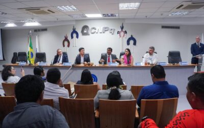 Encontro Nacional de Coordenadores de DSEI debate transição da força de trabalho para a AgSUS