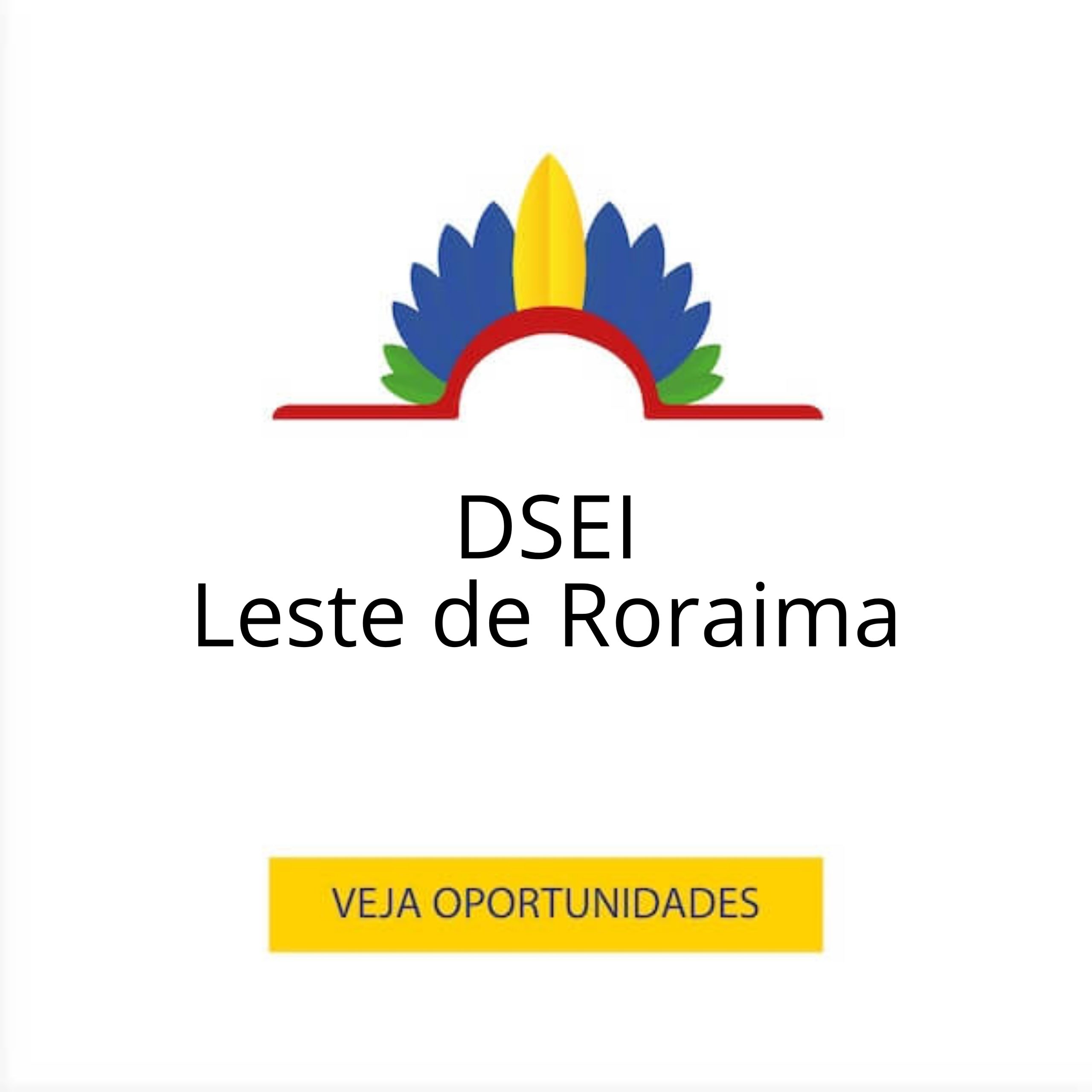 DSEI Leste de Roraima